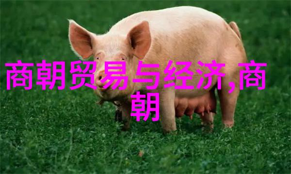 穿越时空的趣味历史探险揭秘明朝那些事儿