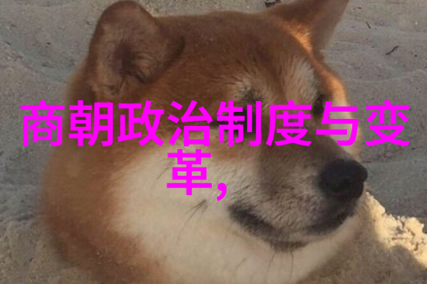 辽阔的疆域探索元朝的领土扩张