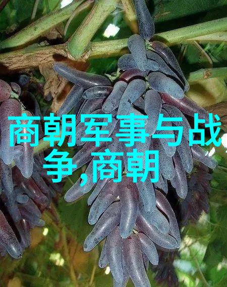 刘伯温真实死因明朝著名政治家和学者刘基的去世原因探究