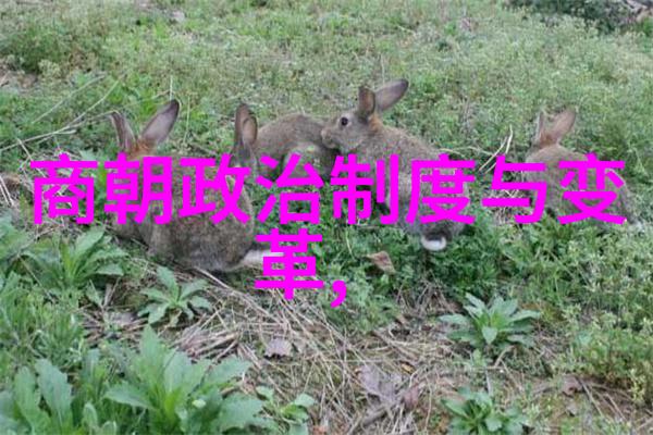 宇宙深空中隐藏的謎團解密