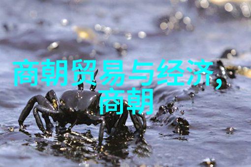 第四届黄梅戏艺术节一场群众性的盛会展现了黄梅戏天仙配全集中精彩的自然景观和人文故事