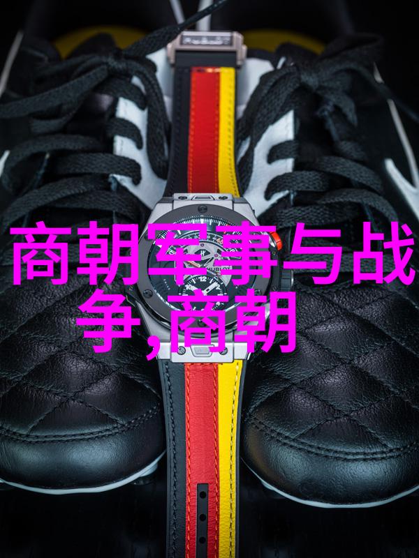 明朝最繁华的几年时期我亲眼见证了锦衣卫的辉煌与奢靡
