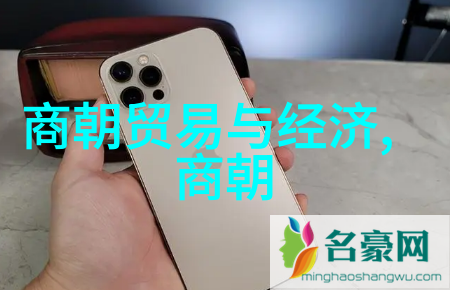 揭秘两宋历史南北资料对比与探究