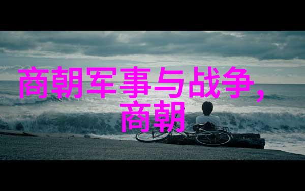 宋末之变北宋覆灭的故事