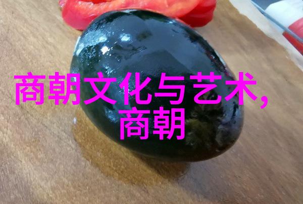 明朝的文治与武功一段辉煌历史的回顾