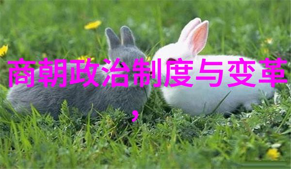 土木堡之战一场震惊中原的悲剧