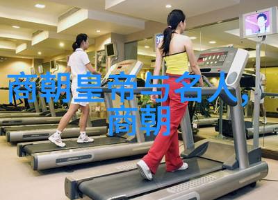 朝代风云石悦的荣耀与哀愁