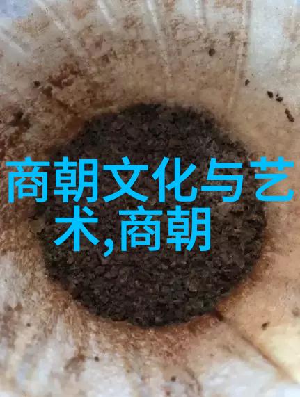 明清交接时期的历史考古与文献探究揭开元朝覆灭之谜