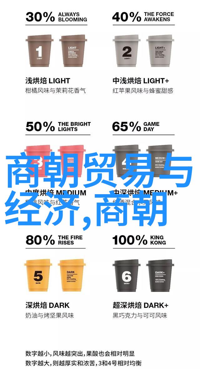 光绪与慈禧两代人的命运交织与冲突