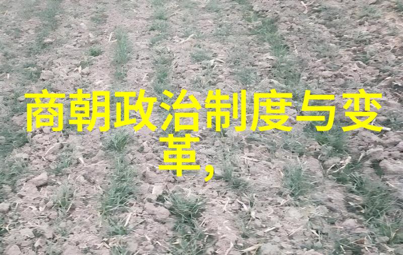 明朝那些事儿演员表解析揭秘历史剧背后的精彩人选