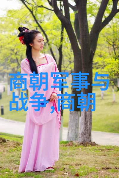 从战场到宫廷从士兵到宦官转型之旅