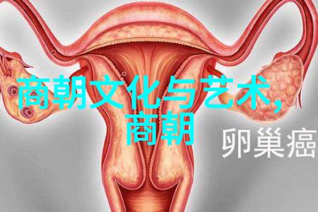 对乾隆帝来说爱情是否只是权力的一部分还是纯粹的情感纽带