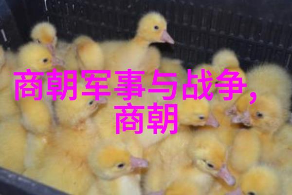 怎么看待明代名将吴中说宁教我负天下人休教天下人负我这一豪言壮语
