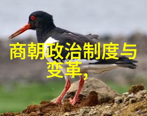 隐秘的权力斗争明朝后宫中的暗杀与政治生存之战