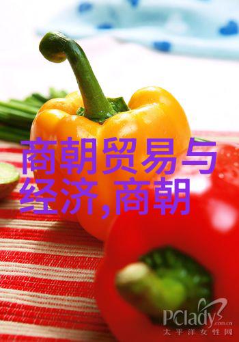 天域苍穹我在星辰的怀抱中寻觅着未知的边界