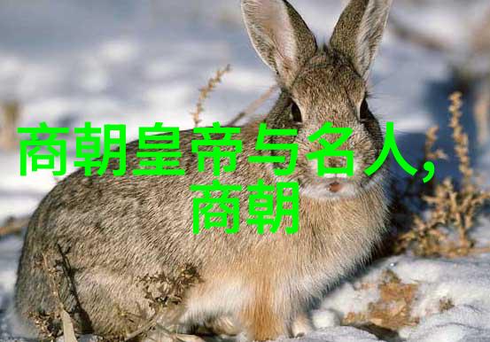 评估历史上哪个朝代更应存续