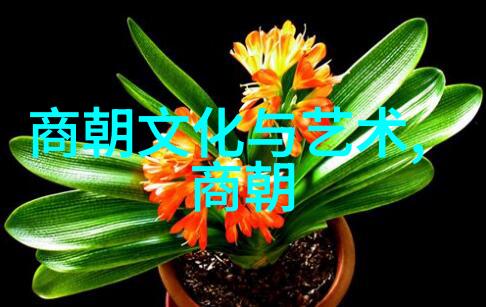 明太祖朱元璋开创明朝统一中国