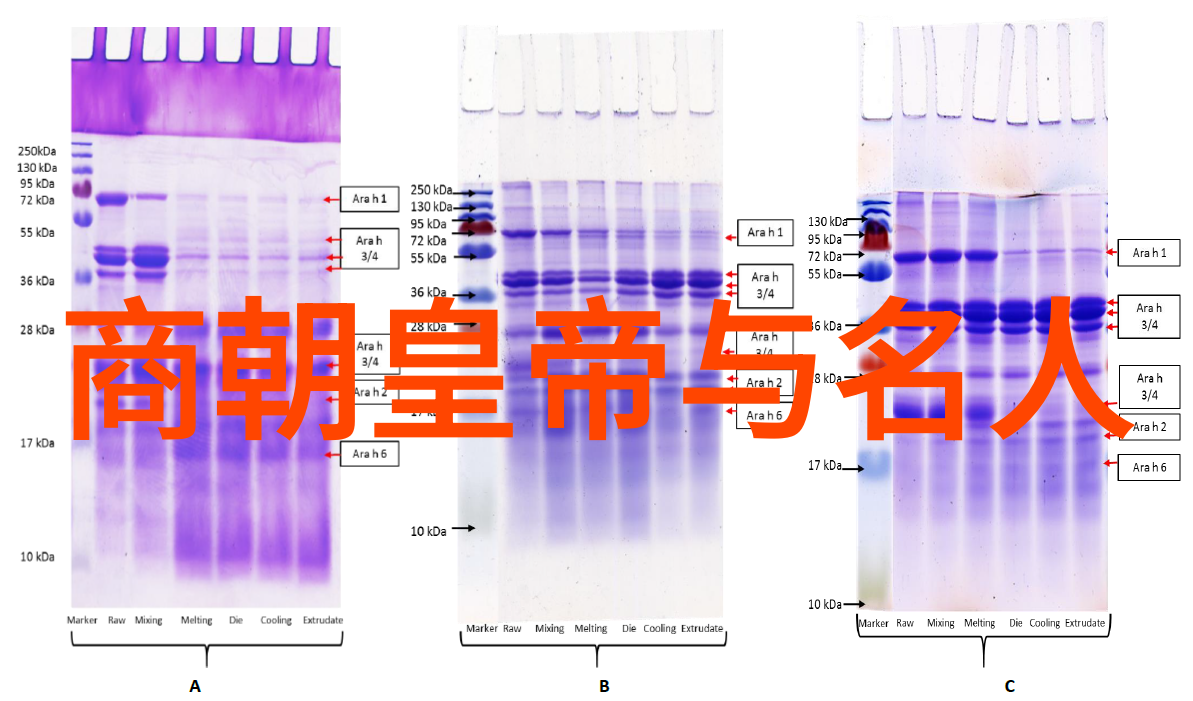 五代十国军事与战争从制度到文化的全面变革