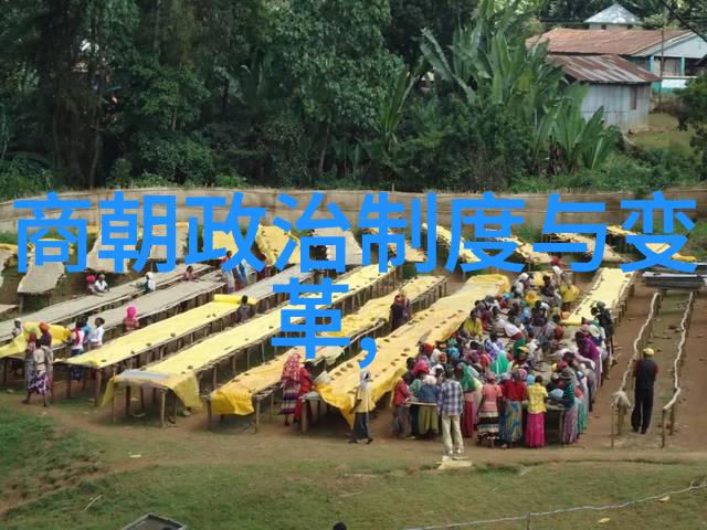 一边品尝美味一边体验刺激揭秘胸膜下免费版的无限魅力