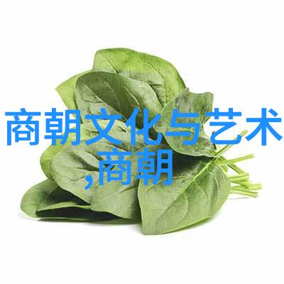 南宋覆灭元朝征服的关键因素探究