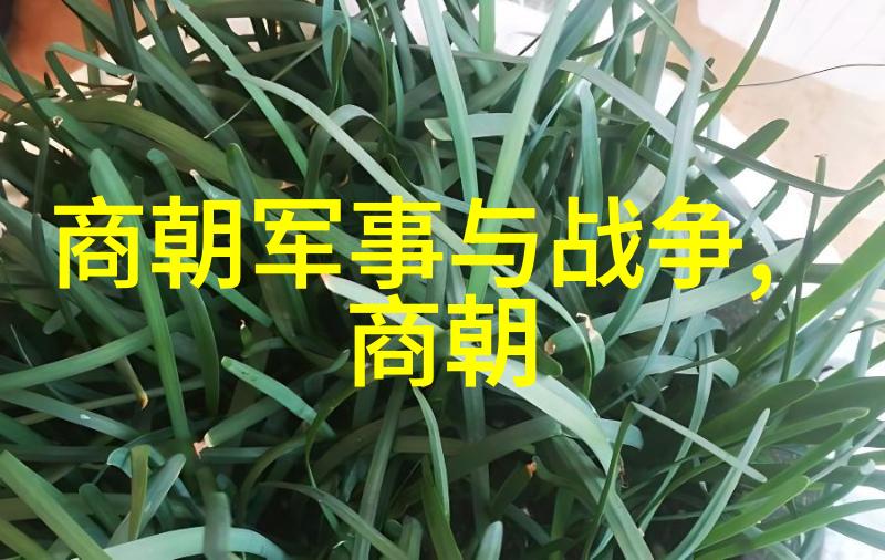 古代文明探索-穿越时光5000年历史顺序的回顾与展望