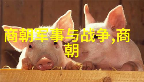 河南豫剧曲剧大全全集作品由国家二级演员田慧娟主演