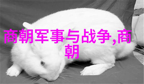 汉王为何认为朱瞻基命运短暂