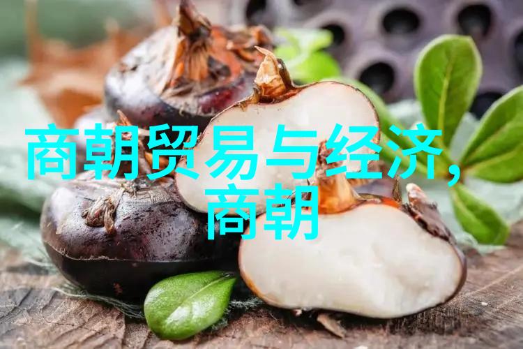 揭秘古代智慧一则关于火药发明的历史趣事探究