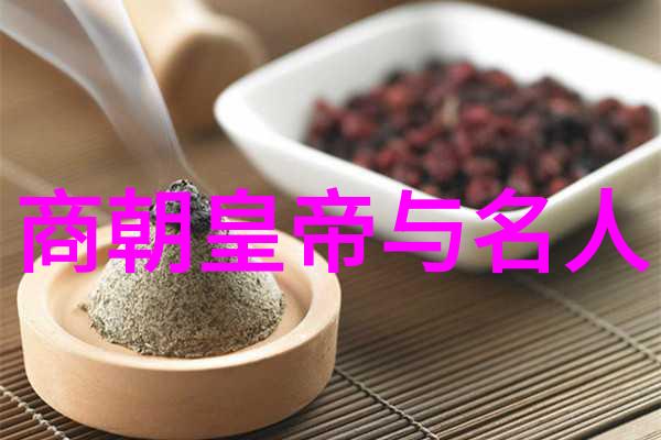隋朝政治制度与变革教育视角下的交互影响