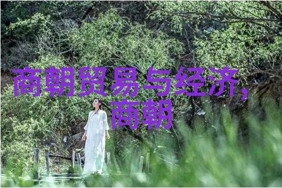 朝代发展历史我看来中国的每个朝代都像是一段精彩绝伦的历史剧情