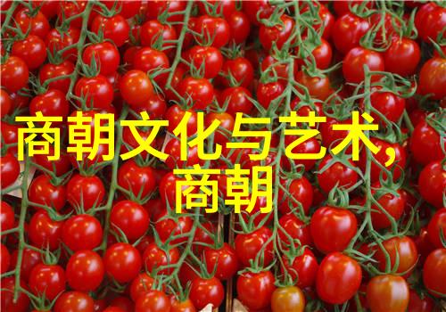 社会环境与文化习俗对乾隆子孙健康影响的分析