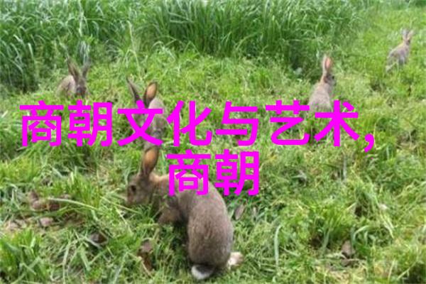 元朝的宰相脱脱治国之才与权谋中的智者