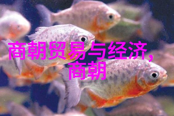 大明风华孙若微身边的丫鬟锦绣江湖中的倩影