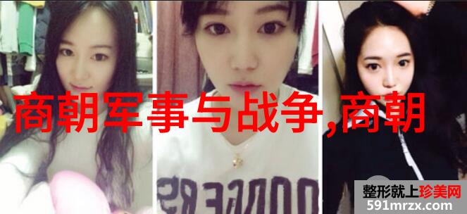 正史中刘伯温的最后一刻是什么样子