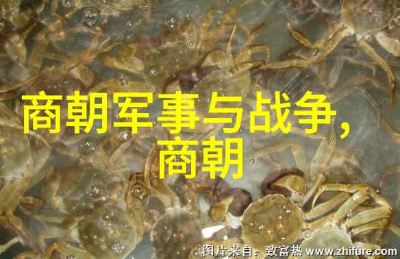 河南戏曲界巨擘陈素真荣登榜首曲剧选段百首齐飞扬视频展现其艺术神韵
