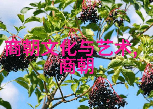豪门重生手记我的亿万继承人日记