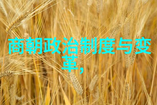 随身仙家洞府神秘空间的隐秘居所