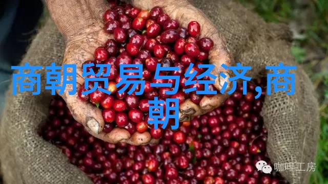 穿越千年历史的长河中哪个朝代最为辉煌