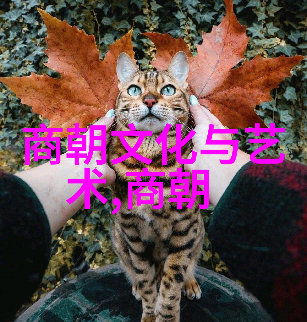 清朝的历代帝王-龙椅上的孤独清朝帝王们的故事