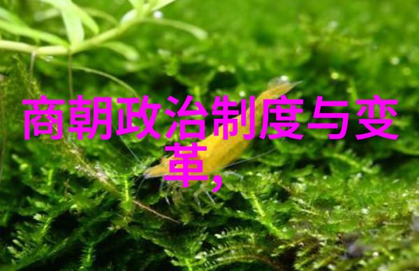 明朝武圣朱祁镇的霸道传奇