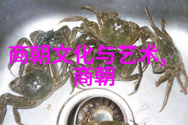 刘伯温与李善长智慧对决明朝两大名臣的才华较量