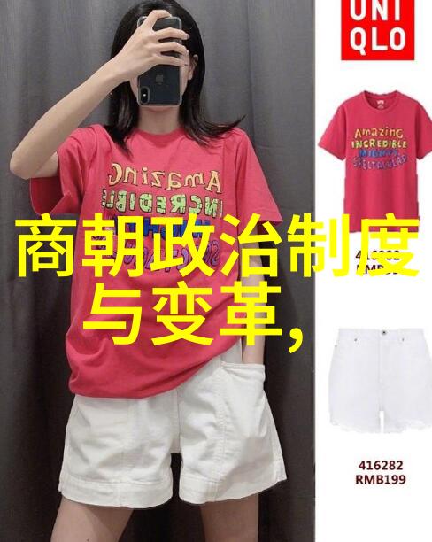 探索中华文明的长河从秦到清的盛世与变迁