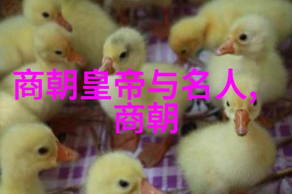 宋代文化与经济的双向发展从北宋到南宋的转型探究