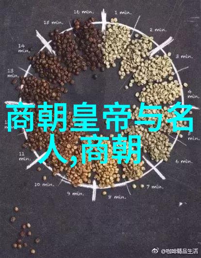 元朝覆灭的深度政治腐败军事疲惫与内部矛盾