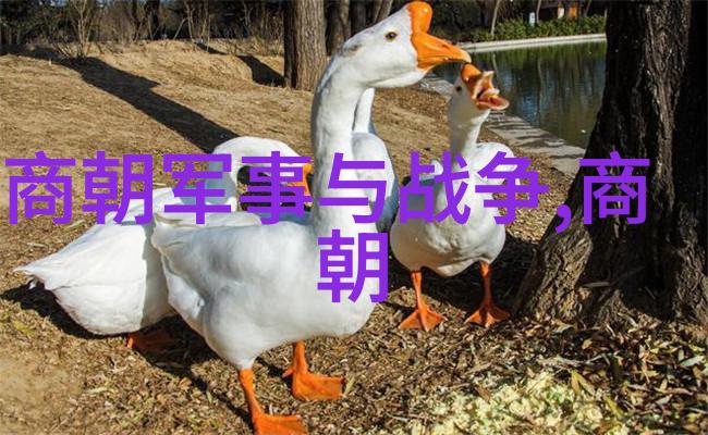 庆父东周的转折点公元前660