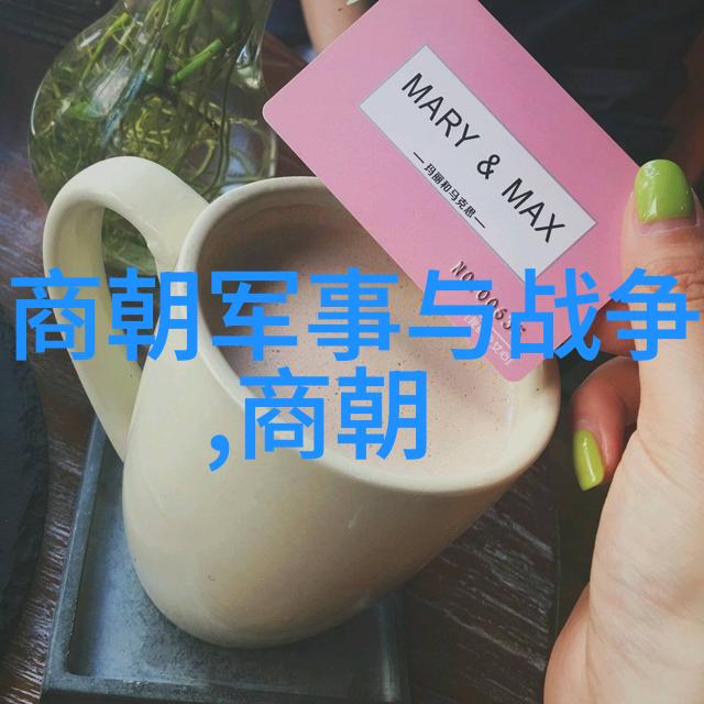 南宋历史简介20字-续明之光南宋的兴衰与遗韵