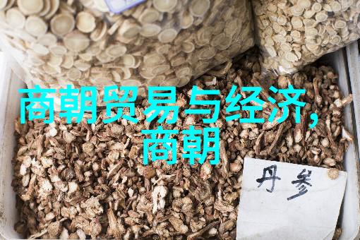 银河第一纪元我的星际冒险记