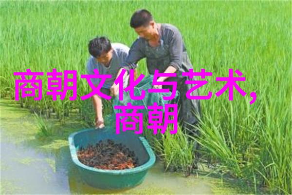 启蒙时代的领袖伏尔泰与卢梭的辉煌与争鸣