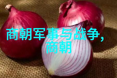 两晋时期诗人代表作孛儿只斤术赤(11771225)