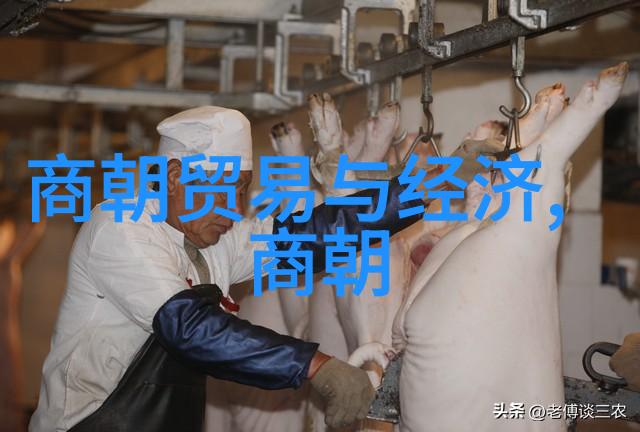 伴随着每一声叹息揭开明末风云中的秘密